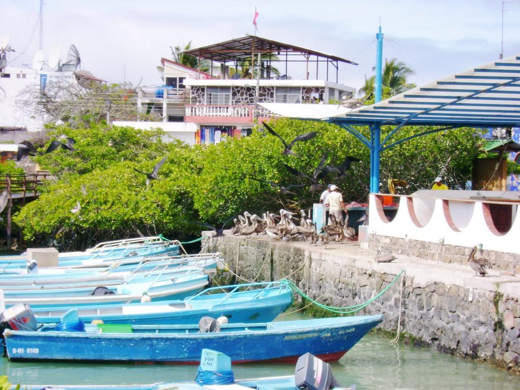 Hotel Pelican Bay Puerto Ayora (Galapagos Islands) Exterior foto