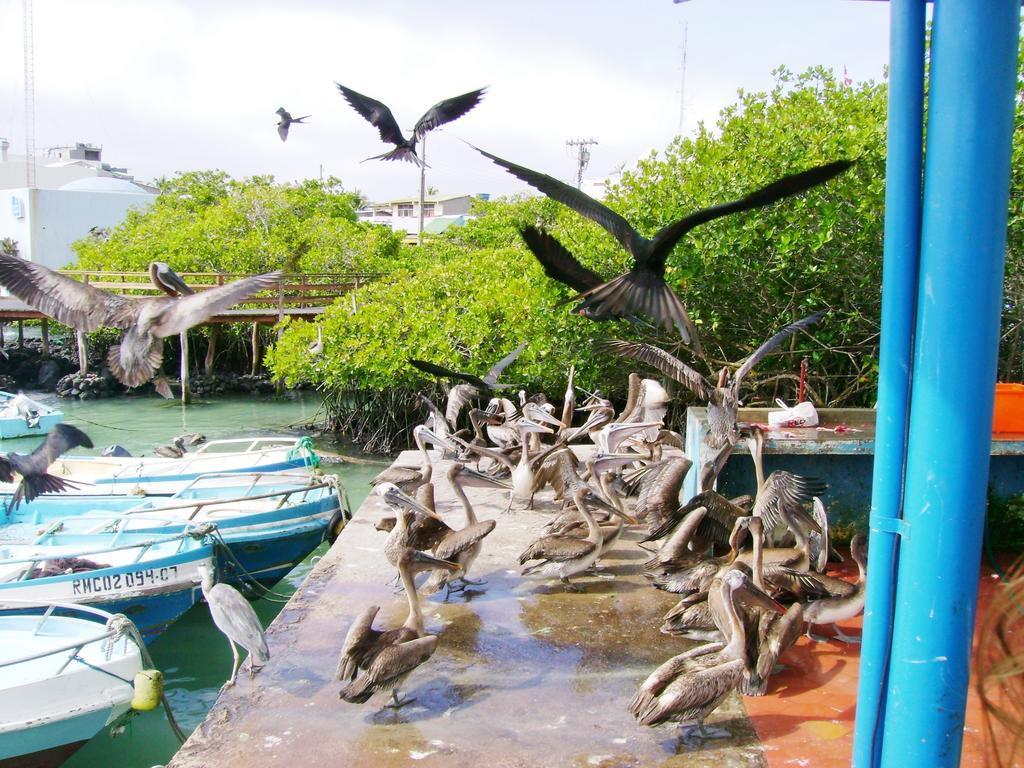 Hotel Pelican Bay Puerto Ayora (Galapagos Islands) Exterior foto